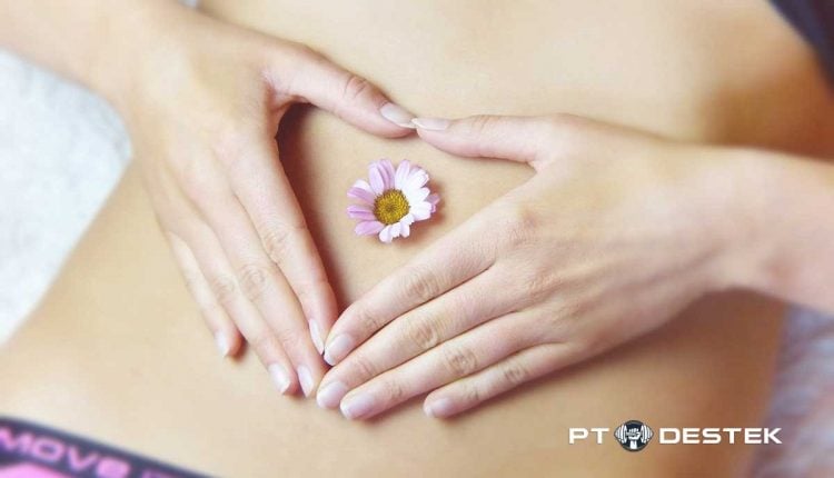 Sağlıklı Bir Sindirim Sistemi İçin İpuçları